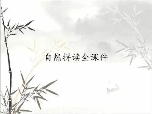 自然拼读全课件