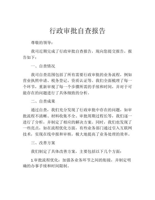 行政审批自查报告