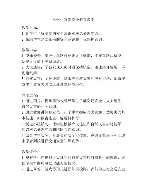 小学生特殊安全教育教案