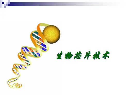 生物芯片技术