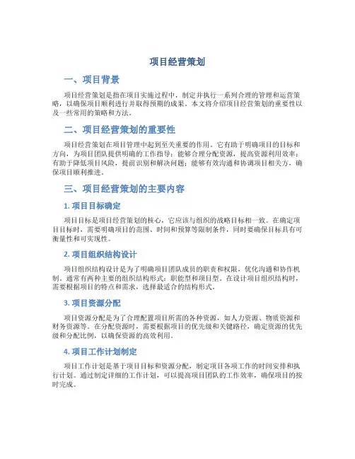 项目经营策划