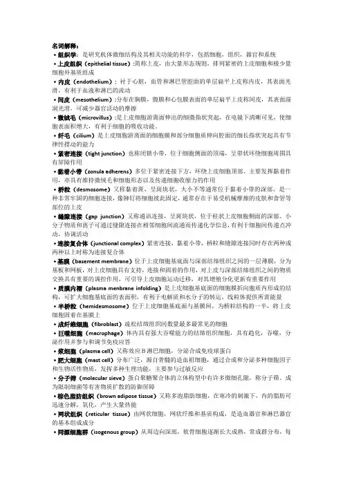 组胚名词解释整理