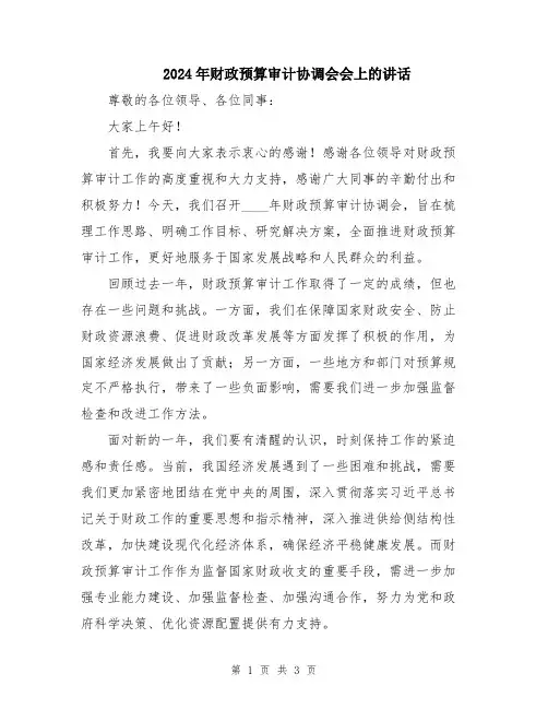 2024年财政预算审计协调会会上的讲话