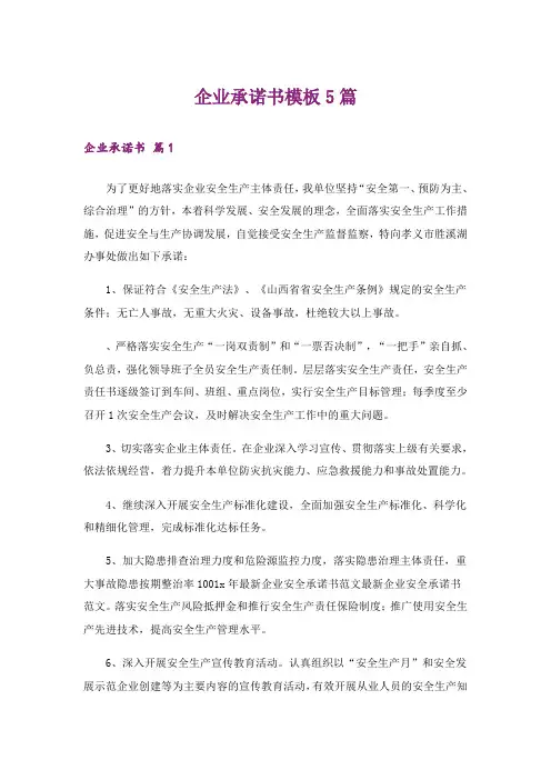 企业承诺书模板5篇