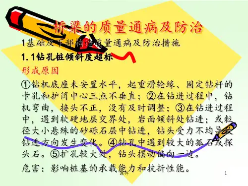 桥梁的质量通病及防治 ppt课件