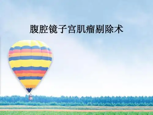 腹腔镜子宫肌瘤剔除术