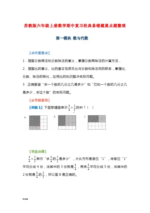苏教版六年级上册数学期中复习经典易错题重点题整理