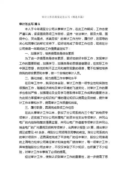 审计工作自我鉴定怎么写（精选5篇）
