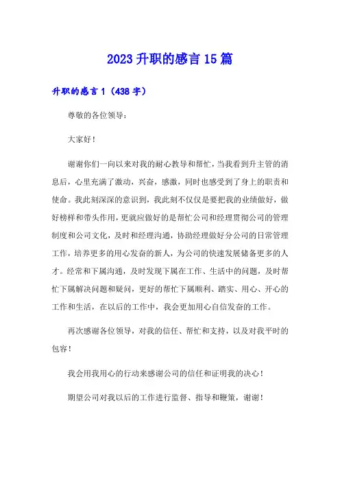 2023升职的感言15篇