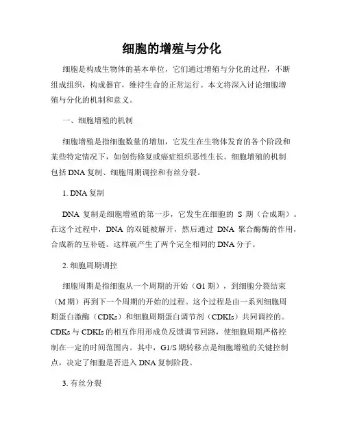 细胞的增殖与分化