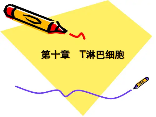 (人卫5版医学免疫学)第十章 T淋巴细胞