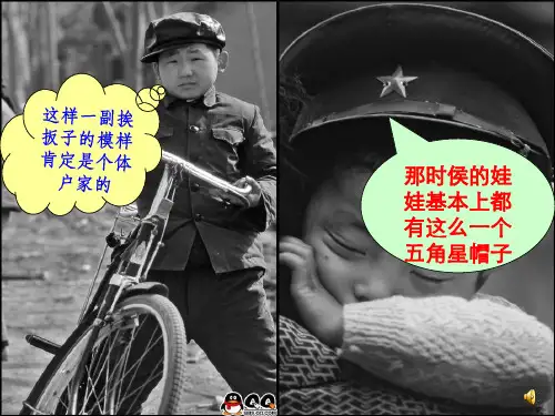 第21课经济腾飞与生活巨变岳麓版PPT课件