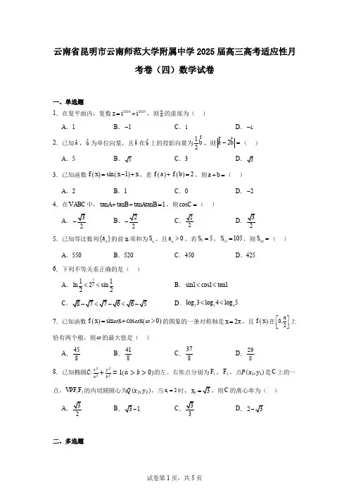 云南省昆明市云南师范大学附属中学2025届高三高考适应性月考卷(四)数学试卷