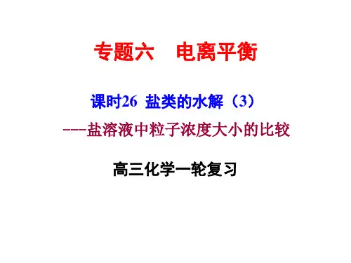 溶液中离子浓度大小的比较
