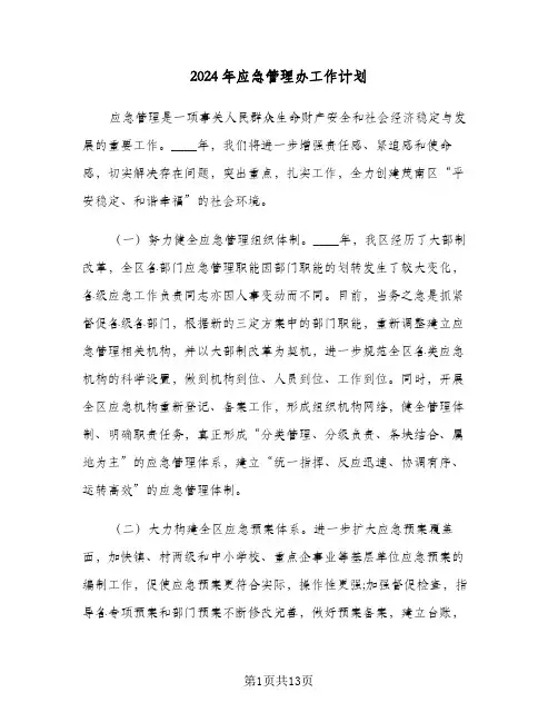 2024年应急管理办工作计划（四篇）