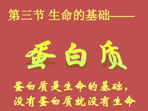 化学1.3生命的基础-蛋白质课件(人教版选修1)