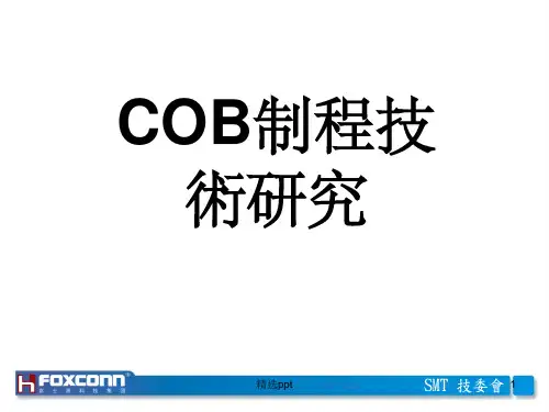 《COB制程技术研究》PPT课件