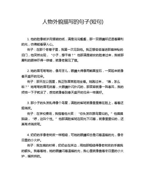 人物外貌描写的句子(短句)