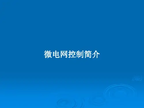 微电网控制简介PPT教案