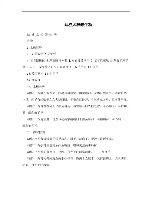 站桩太极养生功