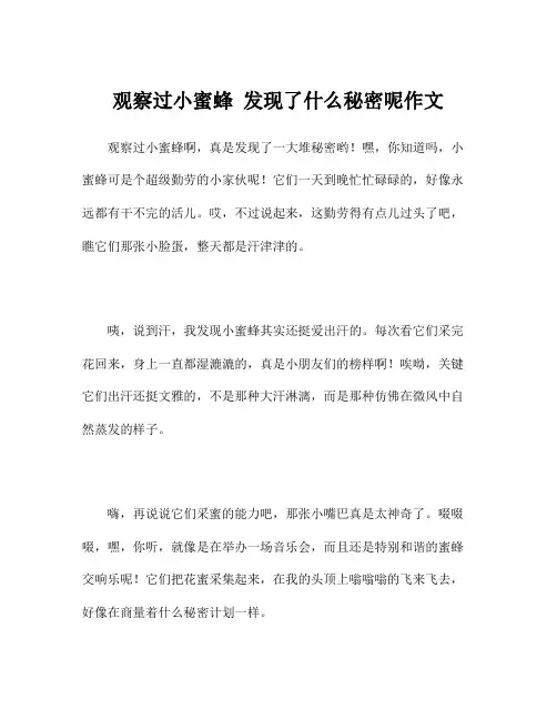 观察过小蜜蜂 发现了什么秘密呢作文