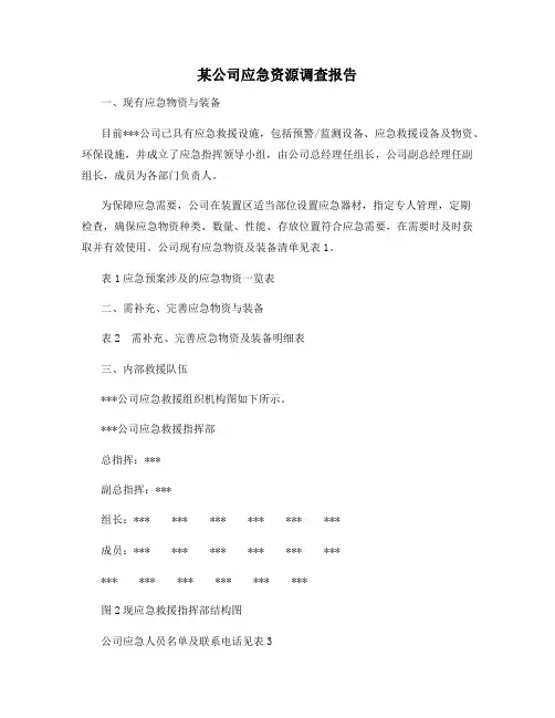 某公司应急资源调查报告