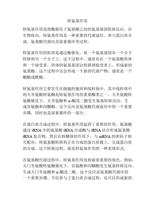 转氨基作用
