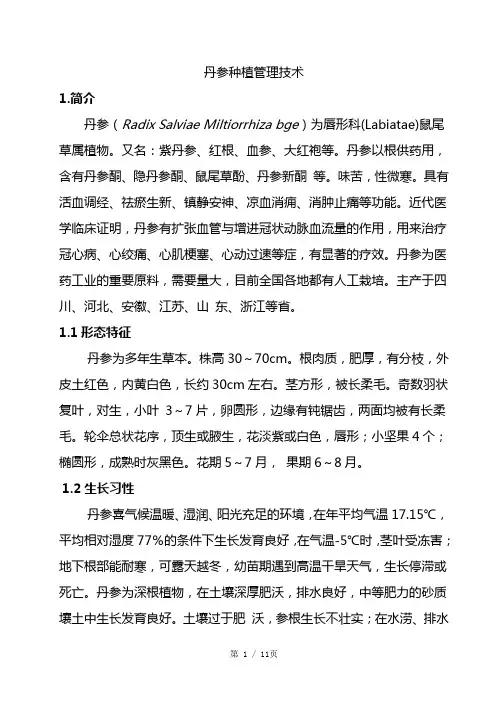 丹参栽培技术
