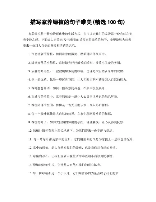 描写家养绿植的句子唯美(精选100句)