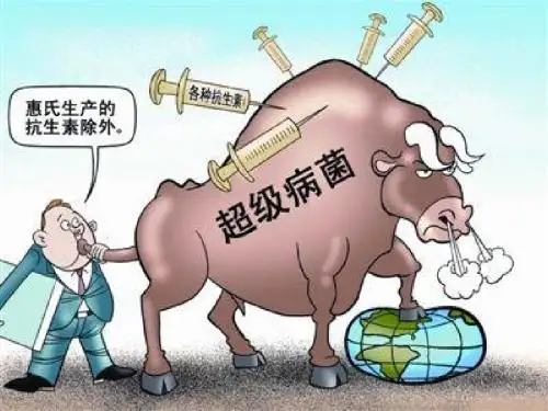 孙宏——超级细菌ppt
