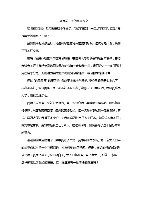 考试前一天的感受作文