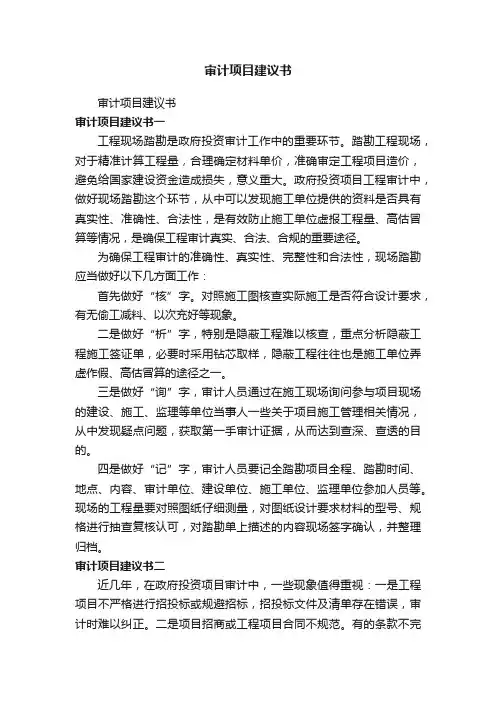 审计项目建议书