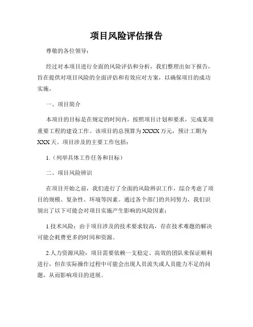 项目风险评估报告