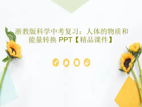 浙教版科学中考复习：人体的物质和能量转换 PPT【精品课件】共41页文档