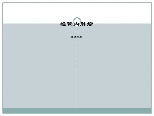 椎管内肿瘤ppt课件