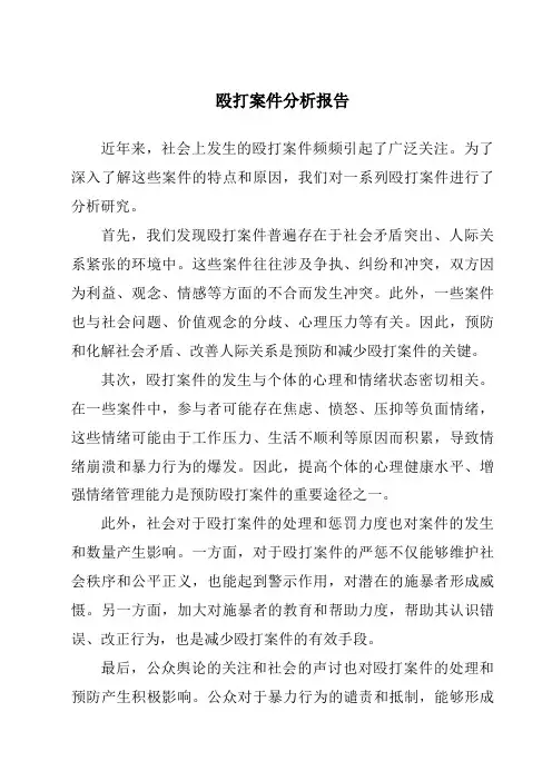 殴打案件分析报告