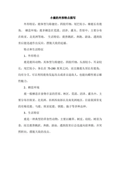 小鹿的外形特点描写