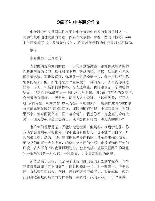 《镜子》中考满分作文