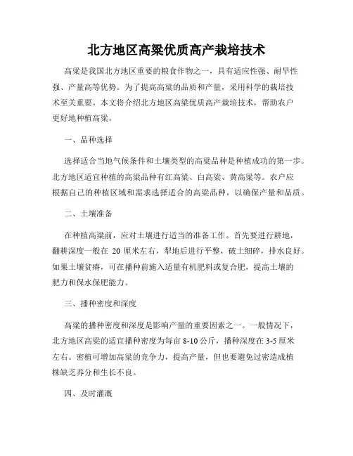 北方地区高粱优质高产栽培技术