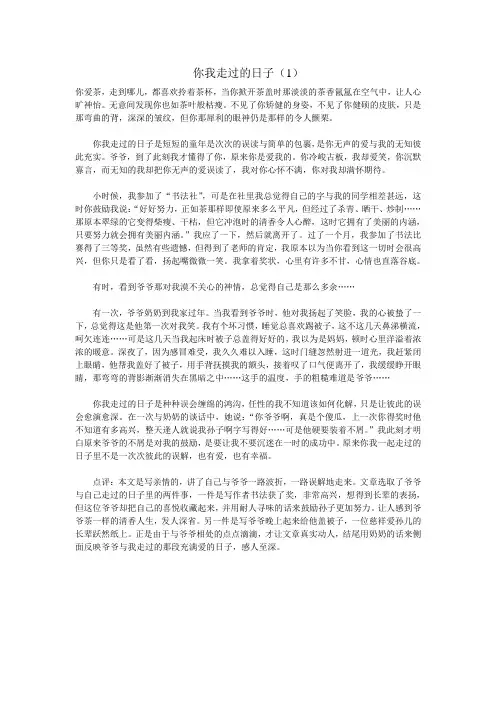 2009年的几遍满分作文