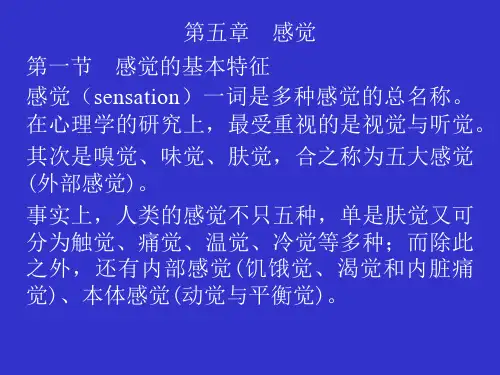 5普通心理学第五章感觉精品PPT课件