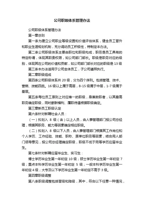 公司职级体系管理办法