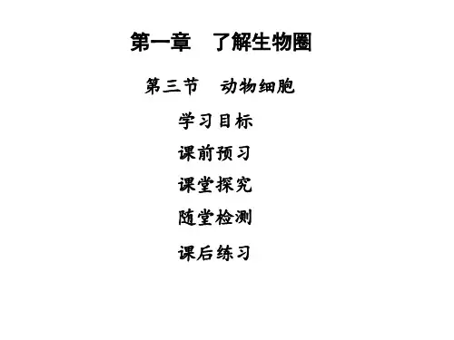 人教版七年级生物上册课件  细胞是生命活动的基本单位 第三节动物细胞 (共32张PPT)