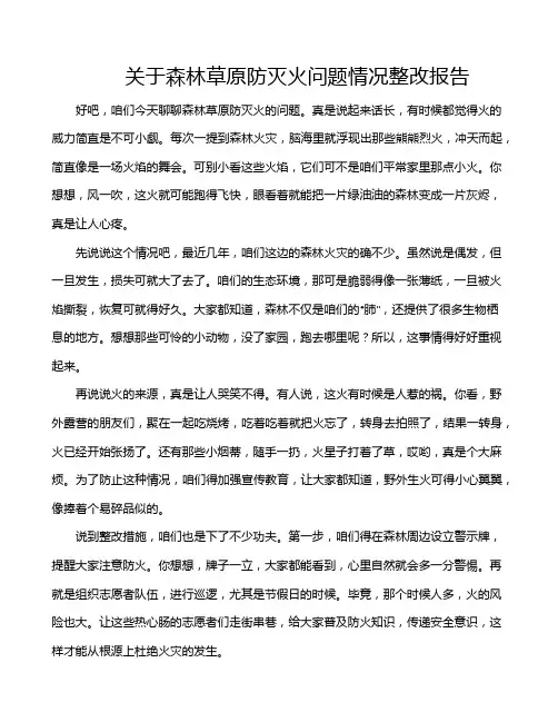 关于森林草原防灭火问题情况整改报告