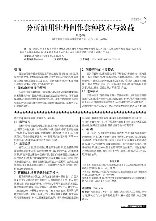分析油用牡丹间作套种技术与效益