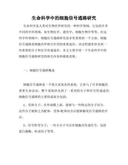 生命科学中的细胞信号通路研究