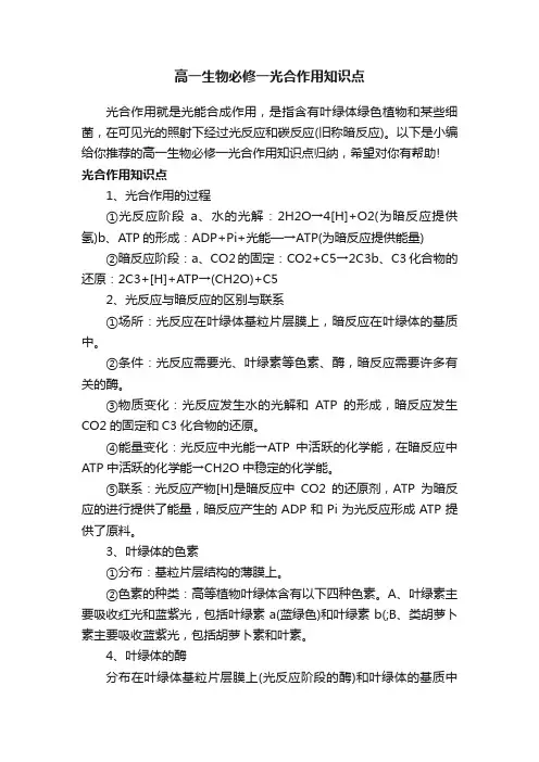 高一生物必修一光合作用知识点