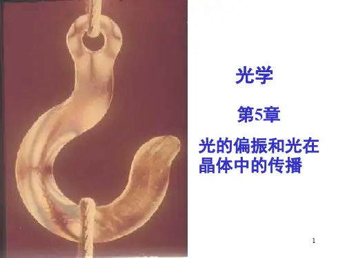 大学物理偏振