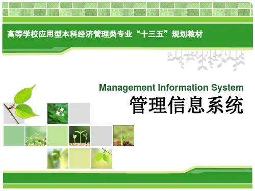 第3章 管理信息系统的战略规划