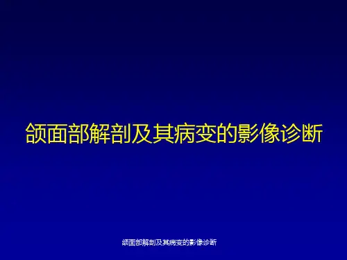 颌面部解剖及其病变的影像诊断课件